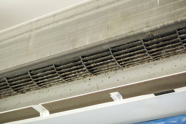 Best Commercial HVAC Duct Cleaning  in North Vernon, IN